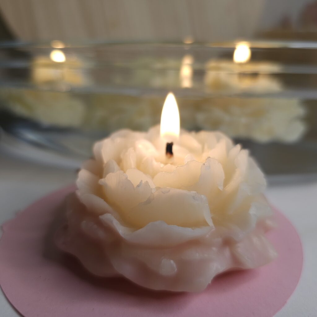 Ediciones Especiales - Velas flotantes de cera vegetal 100%